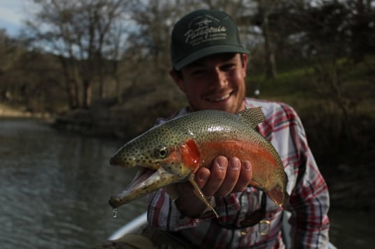 Guadalupe River Rainbow Trout