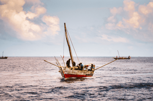 Tanzanian locals fishing in dhows