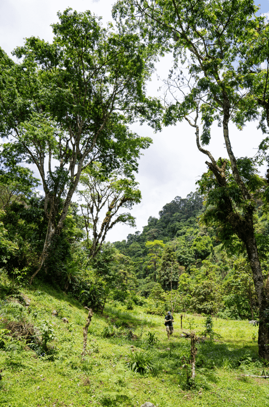 Hiking in the foothills of Kilimanjaro