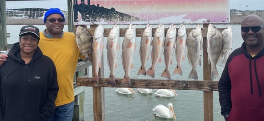 Port Aransas Fishing Charters 1