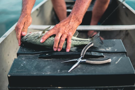 Top 5 Fishing Pliers