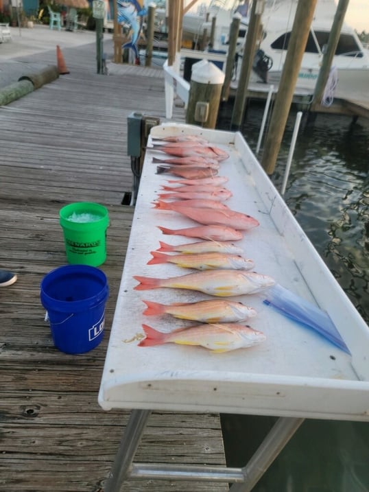 Fishing Charters in Fort Myers Beach 1