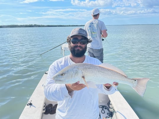 Florida Keys Redfish