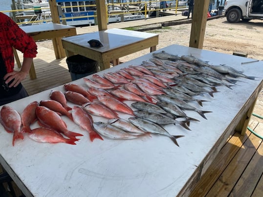 Fishing Charters in Pensacola 8