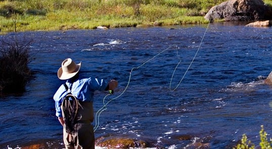 colorado fly fishing guides