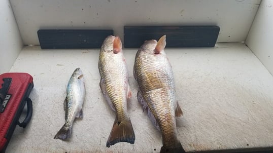 Fishing Trips from Port OConnor 1