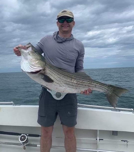 Huge Striped Bass Caught in Montauk