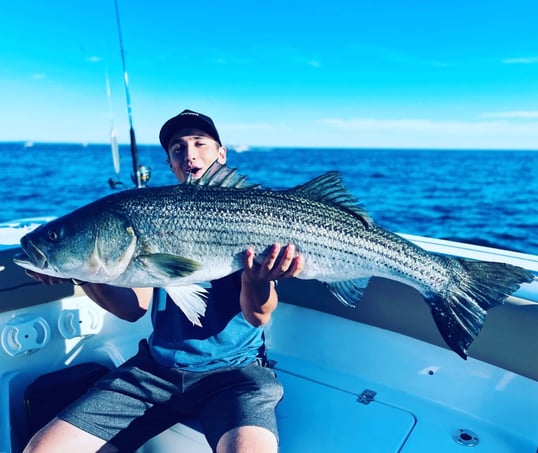Big Striped Bass Caught in Bourne Massachusetts