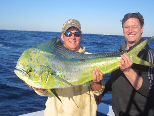 Offshore Fishing With Captain Rich Palm Beach Florida