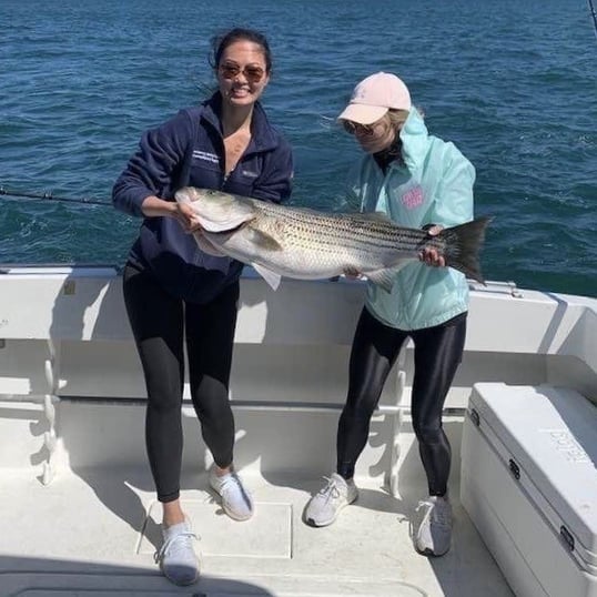 Striped Bass Fishing Montauk New York With Captain Christopher