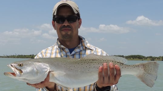 Speckled Trout Fishing With Captain Ruben