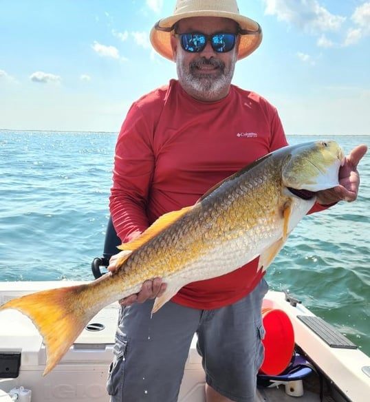Big Redfish In Galveston Texas