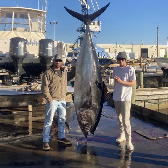 Bluefin Tuna Fishing With Captain Bradley