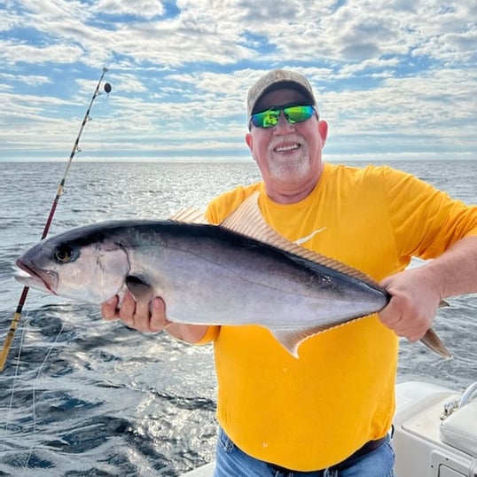 Greater Amberjack Fishing With Captain Alex