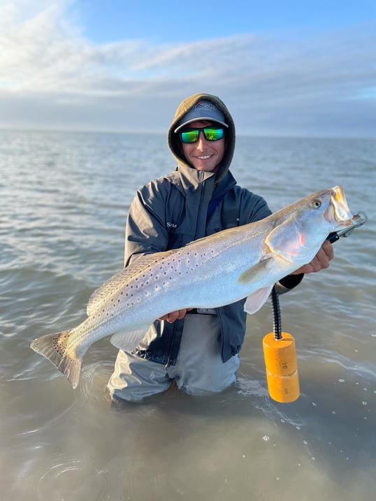 catching big speckled trout