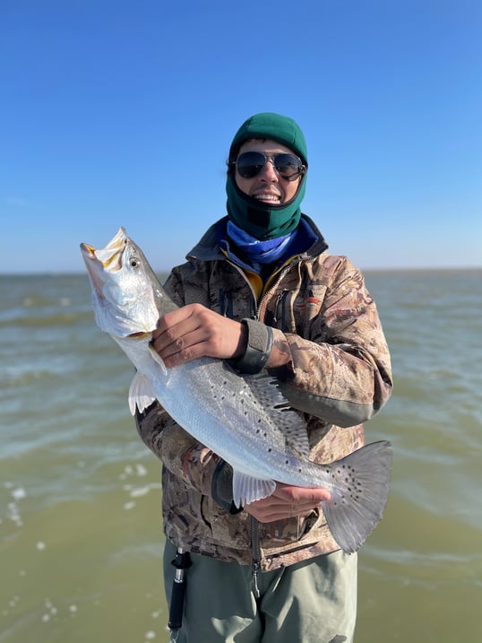 matagorda speckled trout