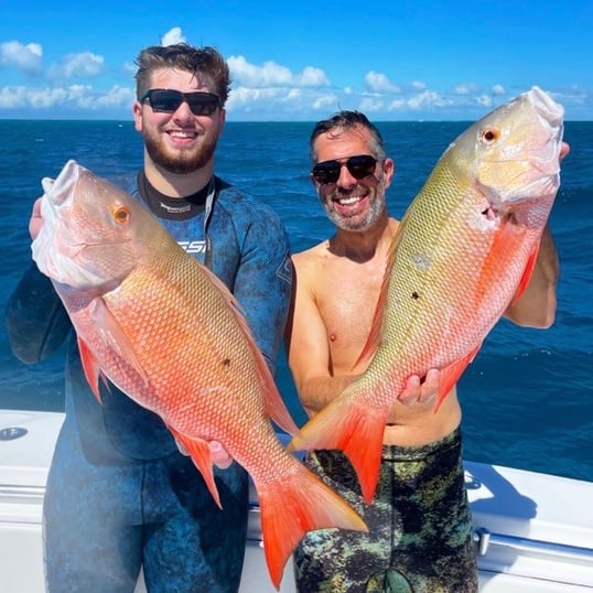 Mutton Snapper With Captain Tony In Islamorada