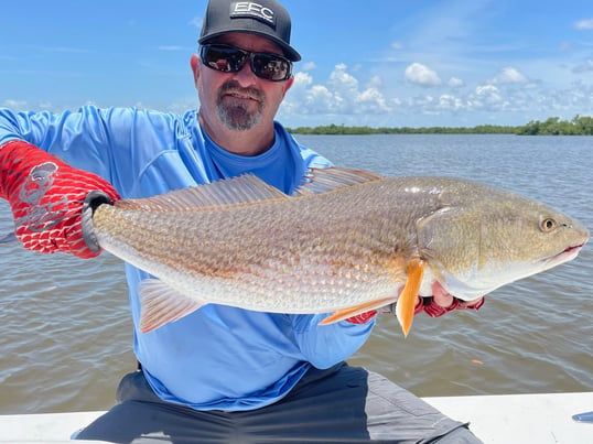 Chokoloskee Redfish With Captain Ariel