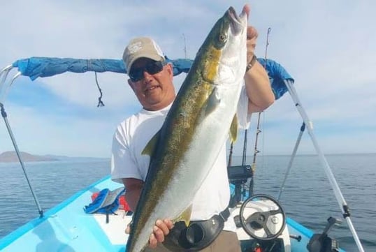 Captain Louis In Loreto Mexico