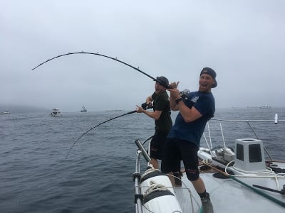 Cortez fishing charters