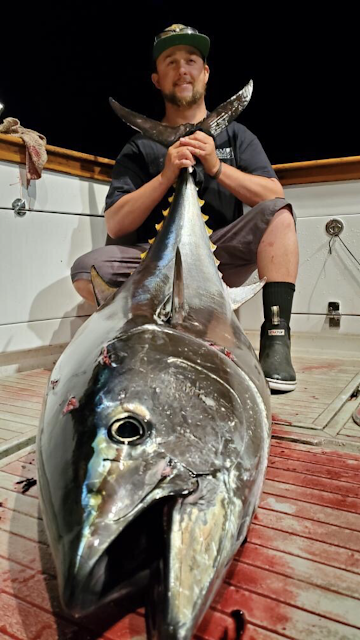 Bluefin Tuna San Diego