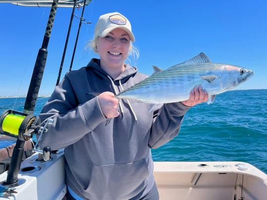 Bonito Fish Caught In North Carolina