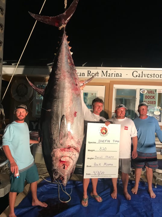 texas state record bluefin tuna