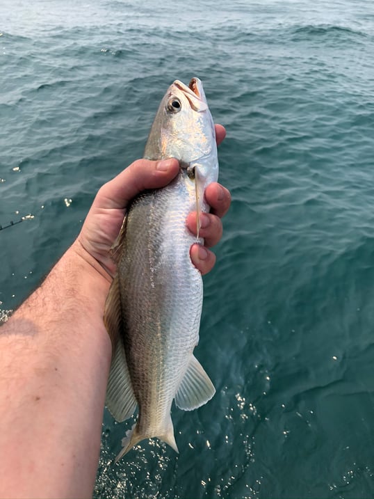 Group Fishing Trips Galveston TX