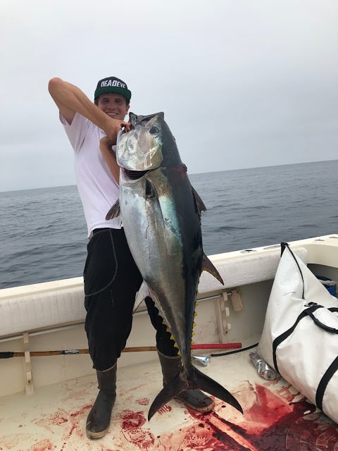 Bluefin Tuna San Diego