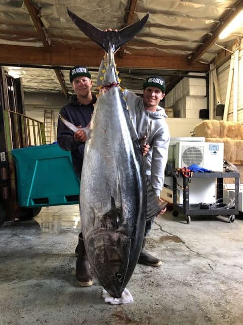 Bluefin Tuna fishing charters