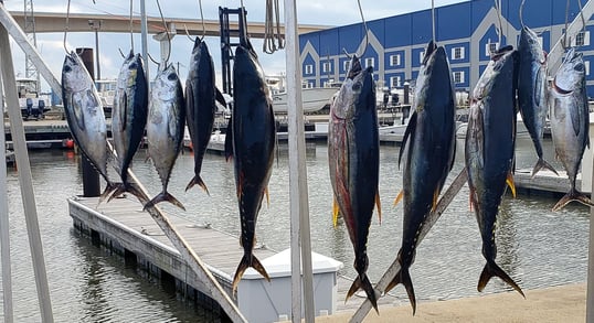 galveston tx fishing charters
