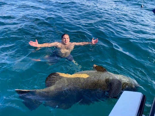 Goliath Grouper Fishing in Florida