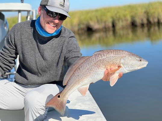 redfish in new orleans louisiana