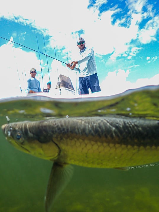 Tarpon fishing with Captain Craig in Jupiter, Florida