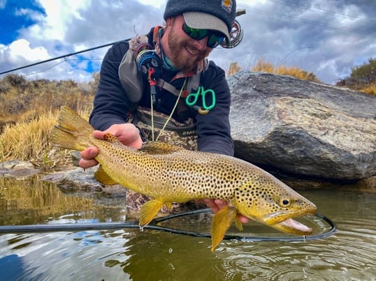 wyoming brown trout fly fishing