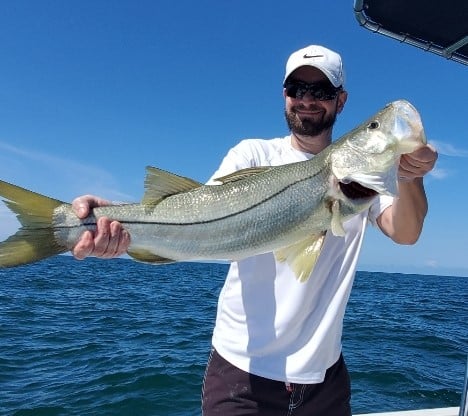 Giant Snook Caught by Capt. Hank in St. Petersburg FL