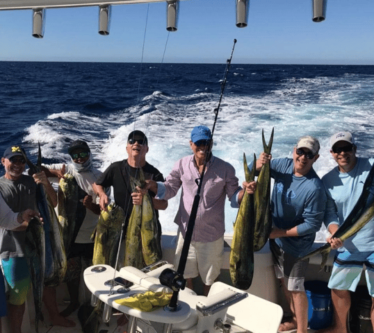 cabo san lucas fishing charters