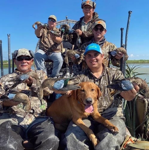 Blue Wing Teal Hunting