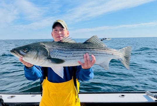 Montauk Striped Bass with Captain Tom