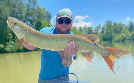 knoxville fishing charters
