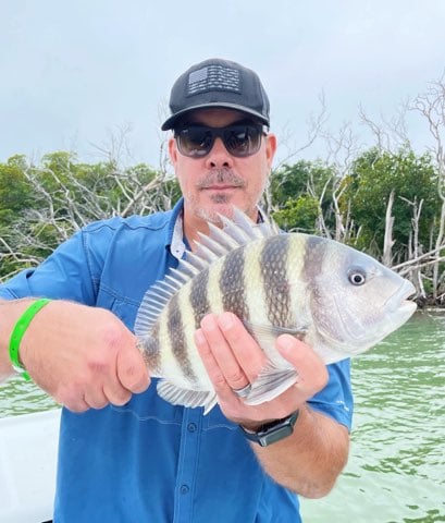 Sheepshead in Tavernier, FL With Captain Ben