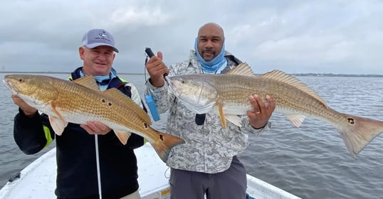 Winter Redfish With Captain Ernest In Galveston