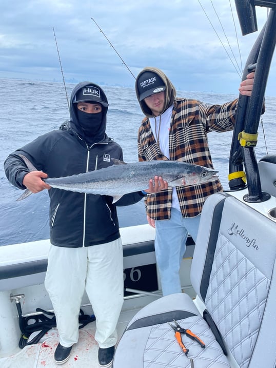 kingfish fishing charters miami