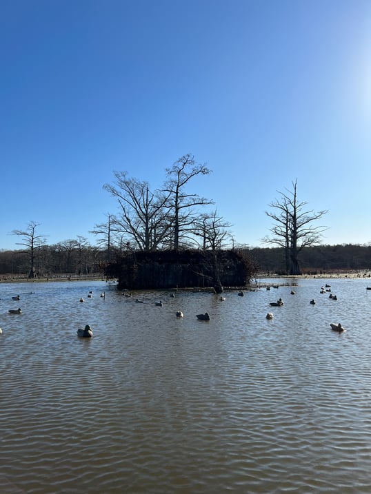 duck blind in stuttgart arkansas