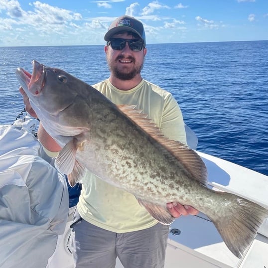 Florida Grouper Fishing Charters