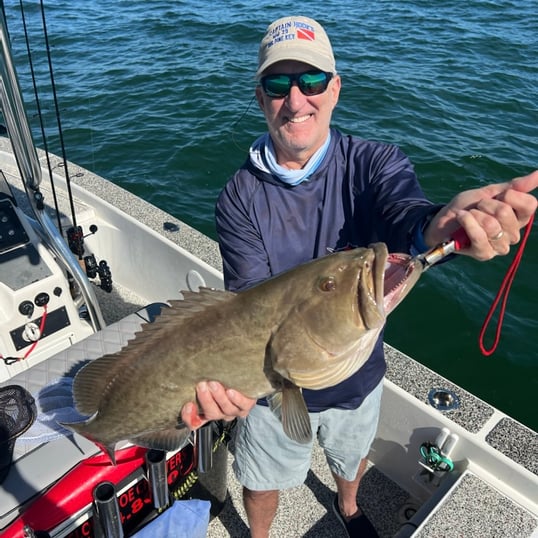 Gag Grouper Fishing