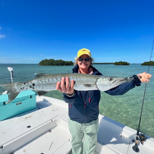 Key West Barracuda Fishing