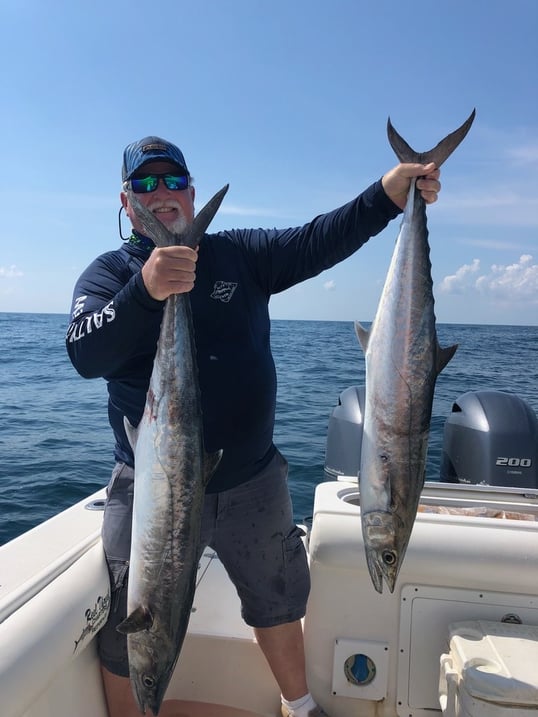 Kingfish in surfside beach