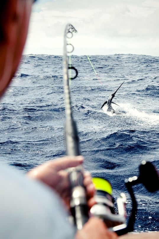 Offshore Fishing in Galveston