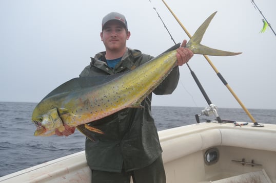 Mahi mahi offshore Galveston